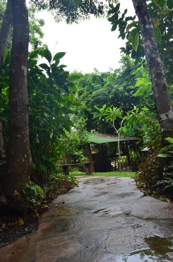 Pousada Casa Viva A Vida Lencois Luaran gambar